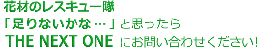 花材のレスキュー隊「足りないかな・・」とおもったらTHE NEXT　ONEにお問い合わせください！